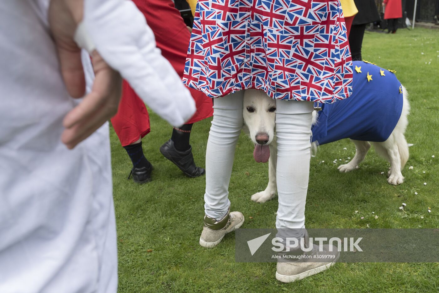 UK launches Brexit process