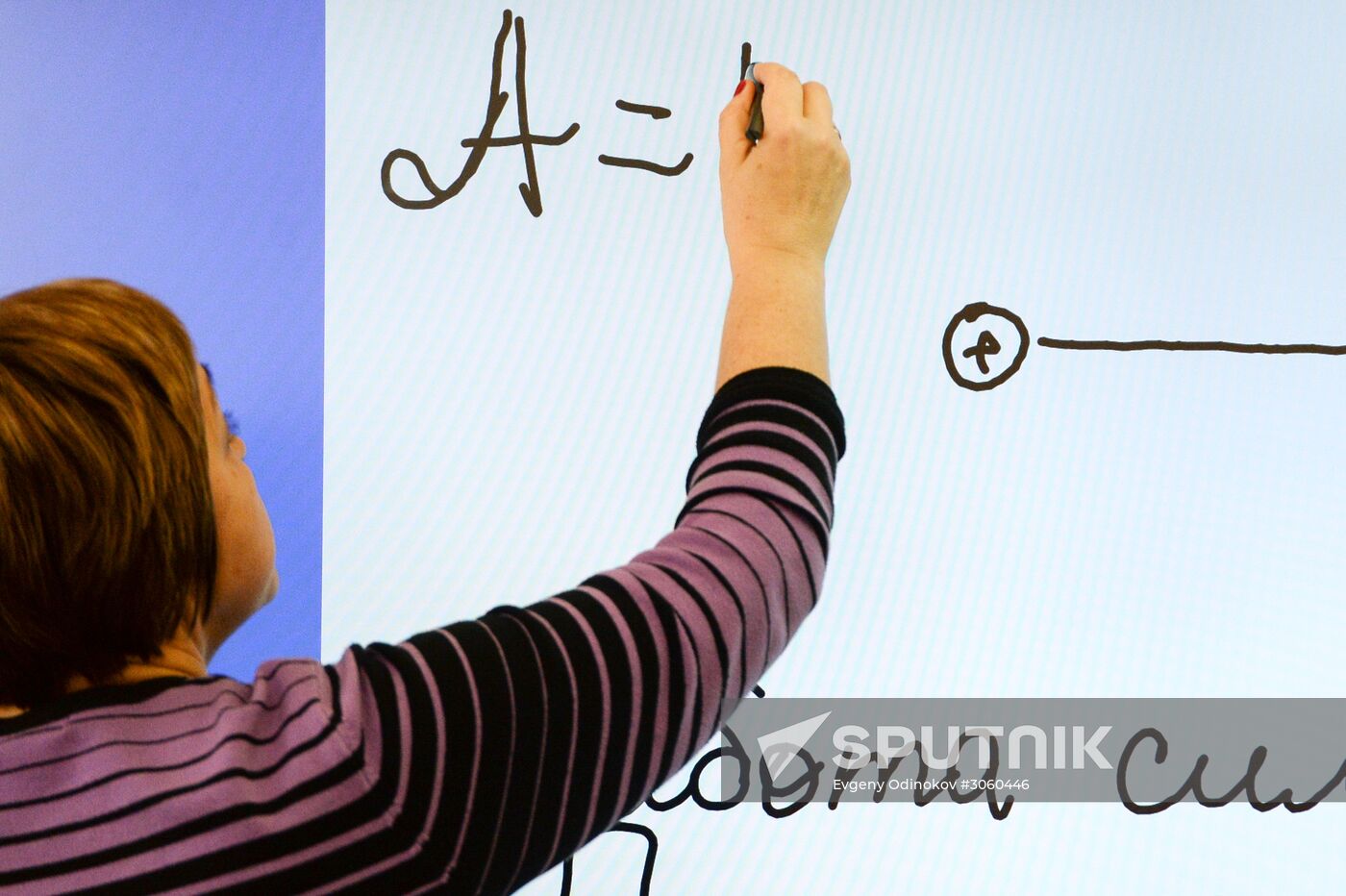 Moscow Electronic School project