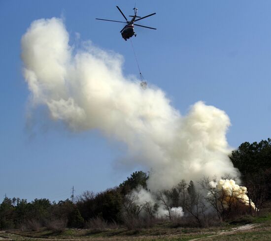 Large forest fire suppression training in Sevastopol
