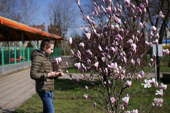 Spring in Krasnodar