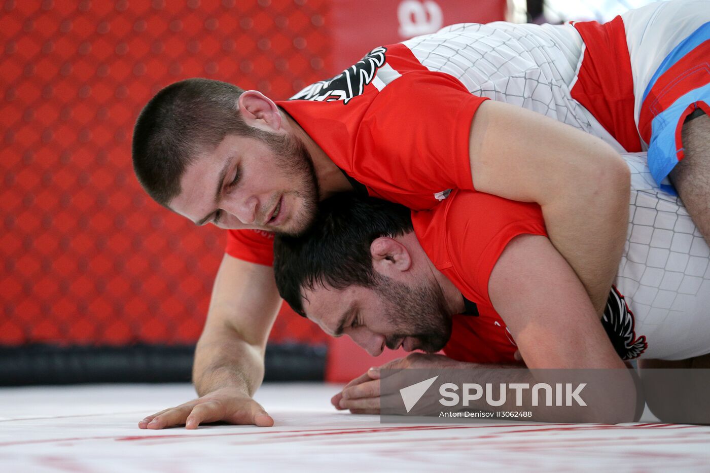 Khabib Nurmagomedov's training session