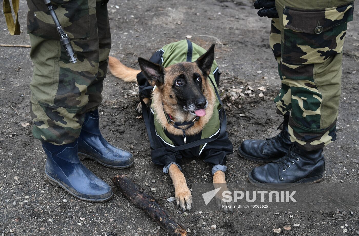 International military exercise of airborne troops in Vitebsk