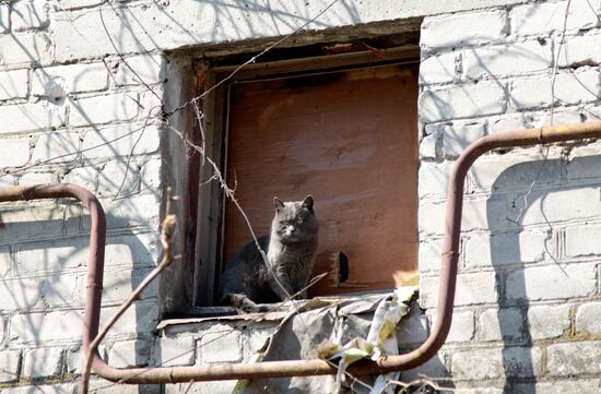 Living in frontline township Dontesk-Severny in Donbass