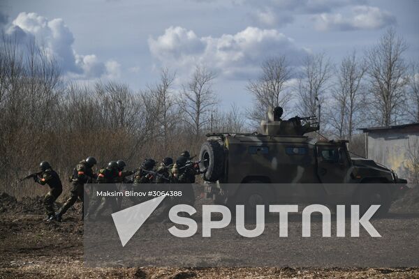 International military exercise of airborne troops in Vitebsk