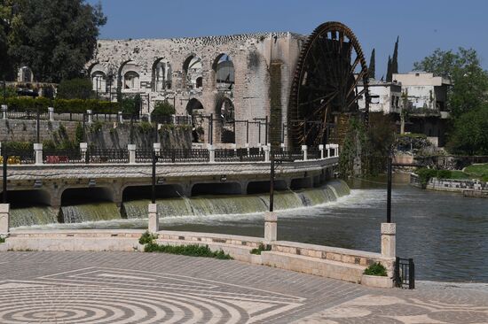 Cities of the world. Hama