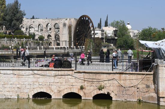 Cities of the world. Hama