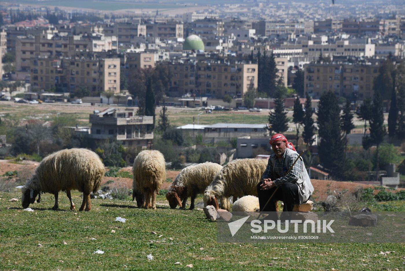 Cities of the world. Hama