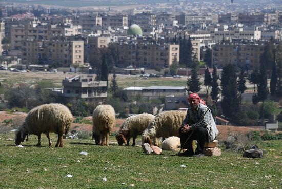 Cities of the world. Hama