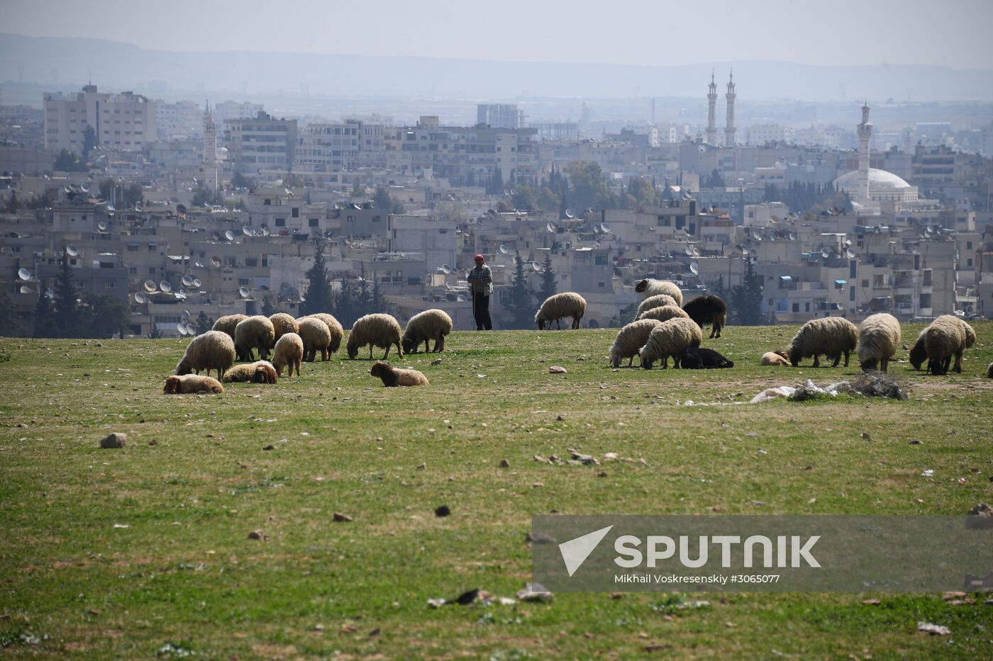 Cities of the world. Hama