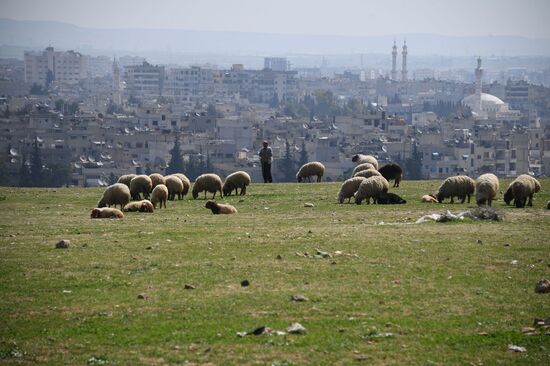 Cities of the world. Hama