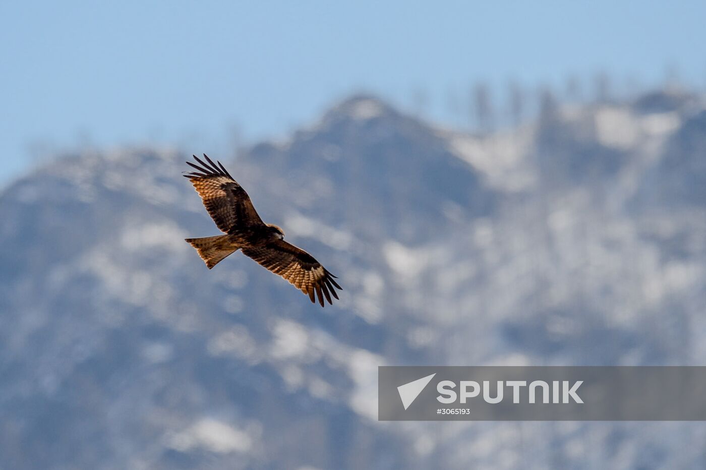 Russian regions. Altai Republic, Altai Territory