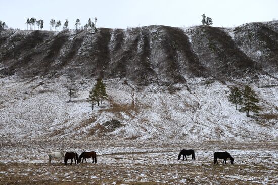 Russian regions. Altai Republic, Altai Territory