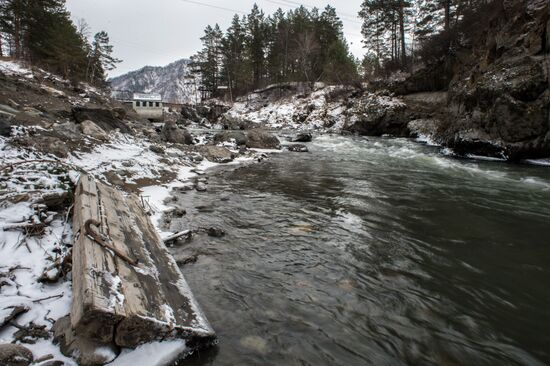 Russian regions. Altai Republic, Altai Territory