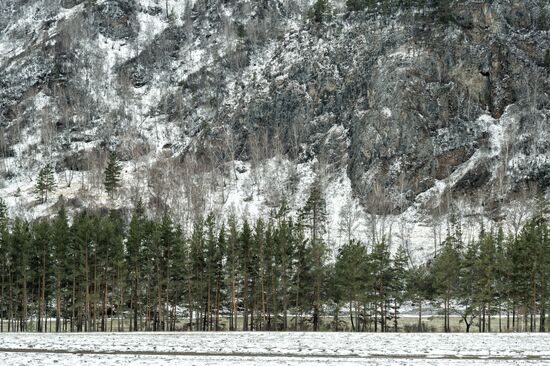Russian regions. Altai Republic, Altai Territory