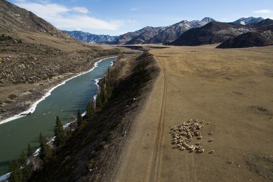 Russian regions. Altai Republic, Altai Territory