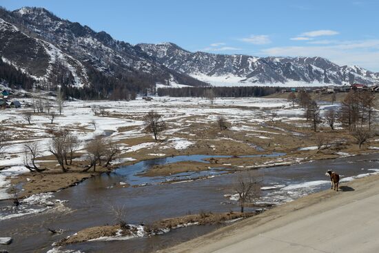 Russian regions. Altai Republic, Altai Territory