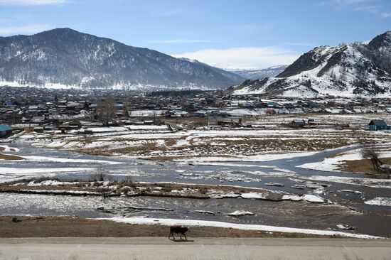 Russian regions. Altai Republic, Altai Territory