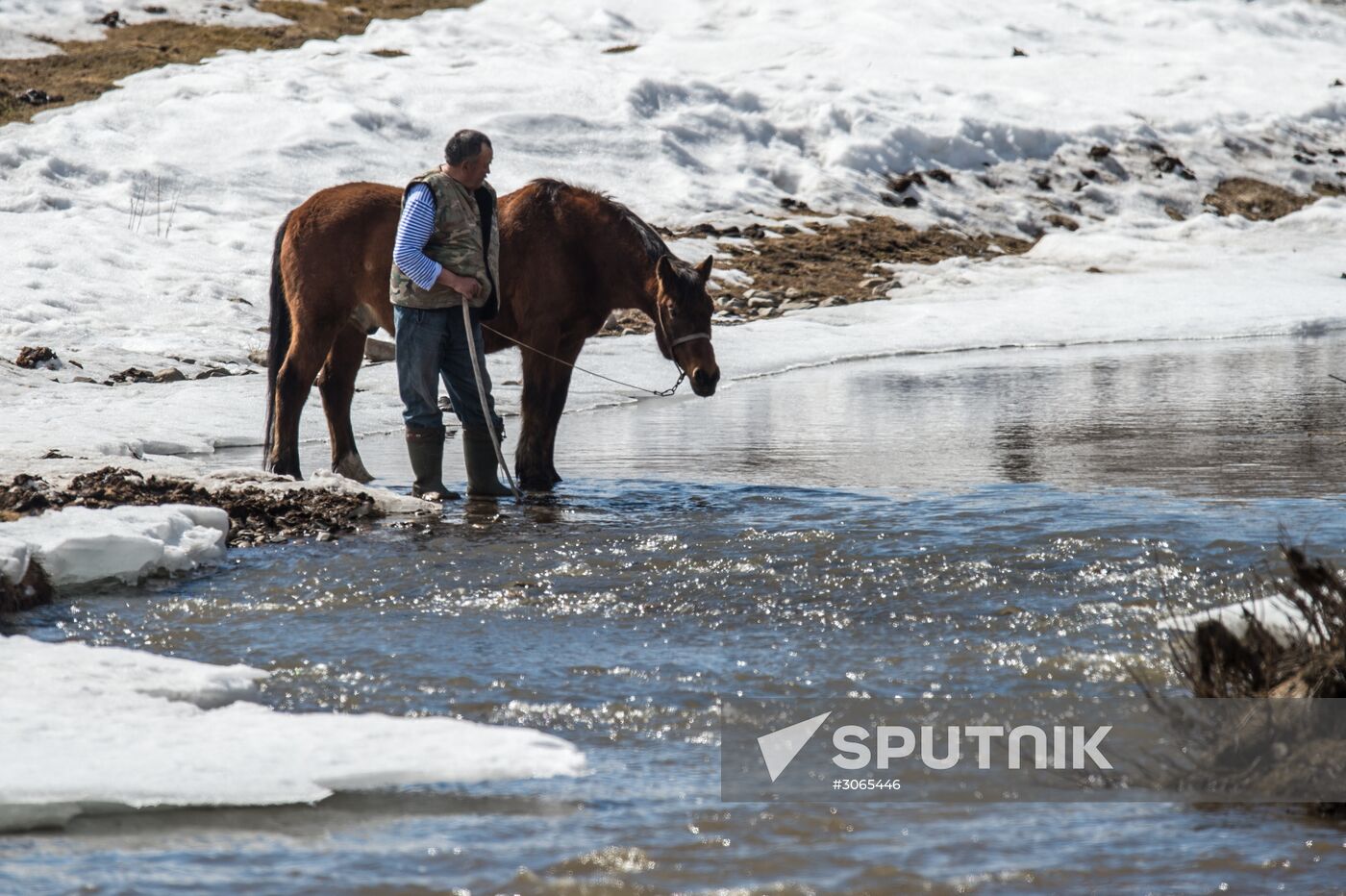 Russian regions. Altai Republic, Altai Territory