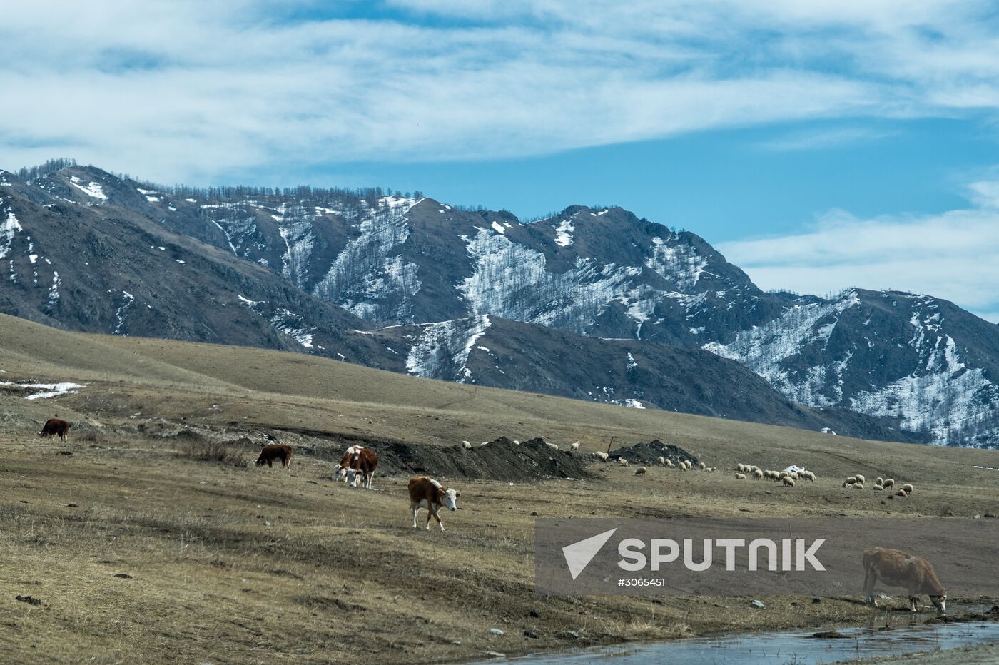 Russian regions. Altai Republic, Altai Territory