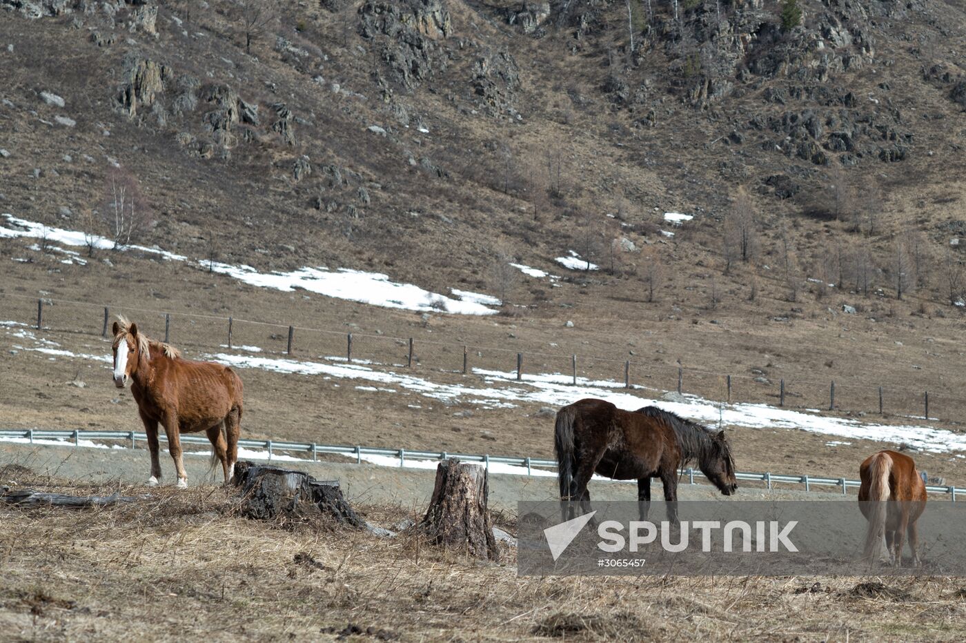 Russian regions. Altai Republic, Altai Territory