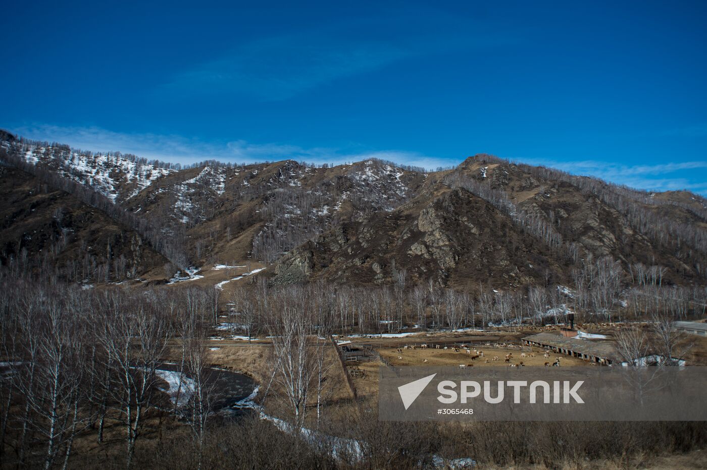 Russian regions. Altai Republic, Altai Territory