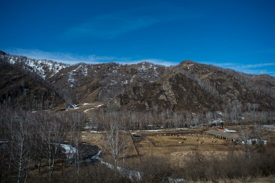Russian regions. Altai Republic, Altai Territory
