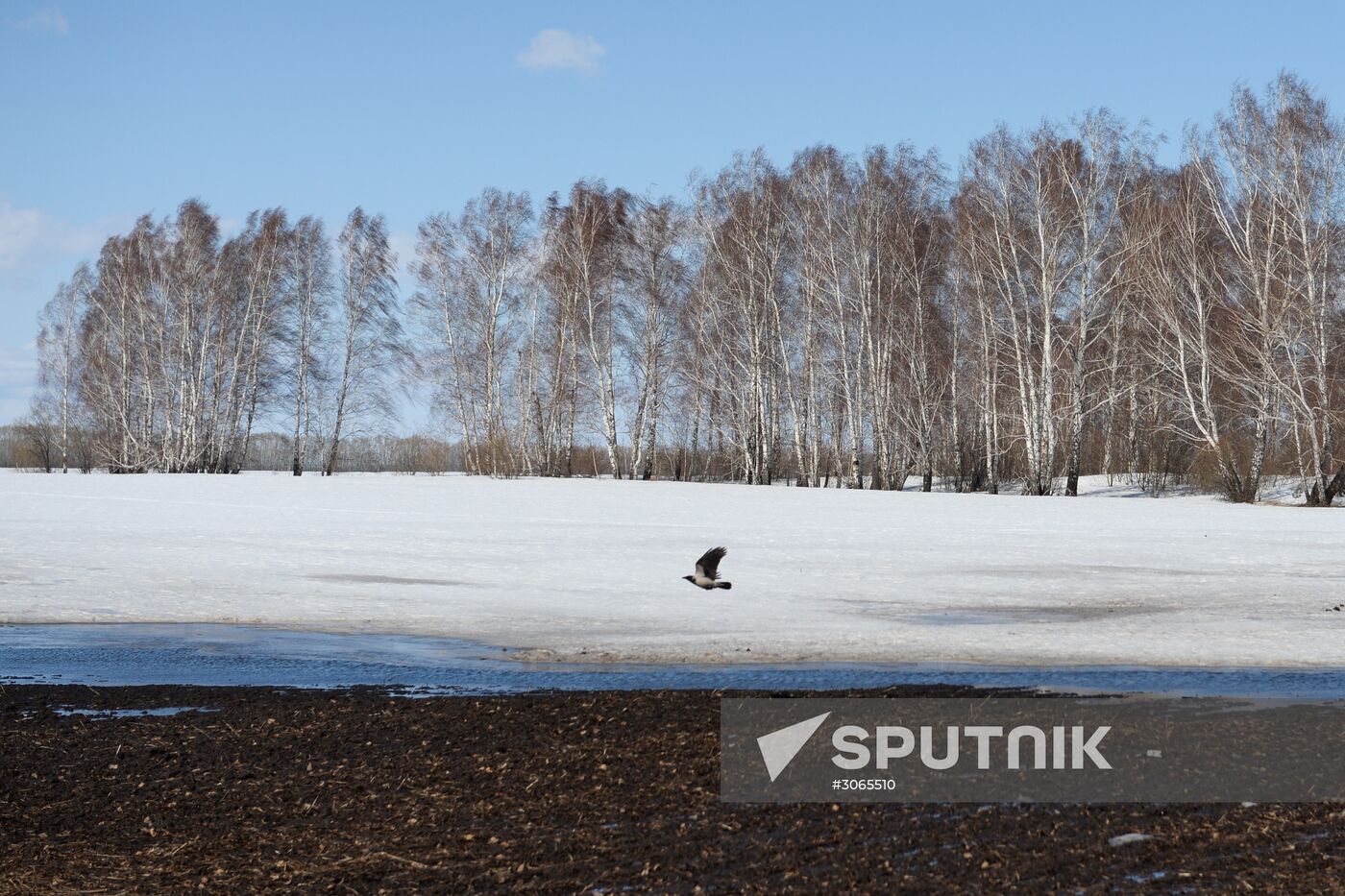 Russian regions. Altai Republic, Altai Territory
