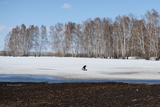 Russian regions. Altai Republic, Altai Territory