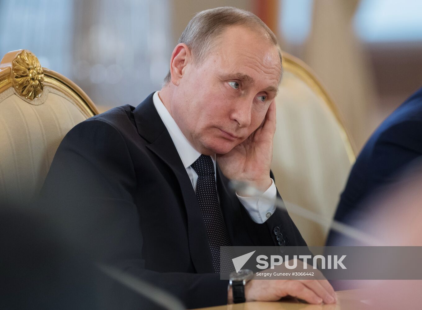 President Vladimir Putin meets with President of Uzbekistan Shavkat Mirziyoyev