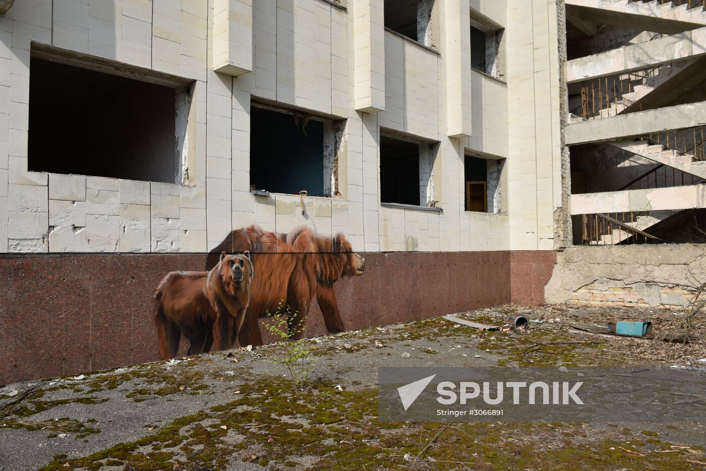Chernobyl Exclusion Area