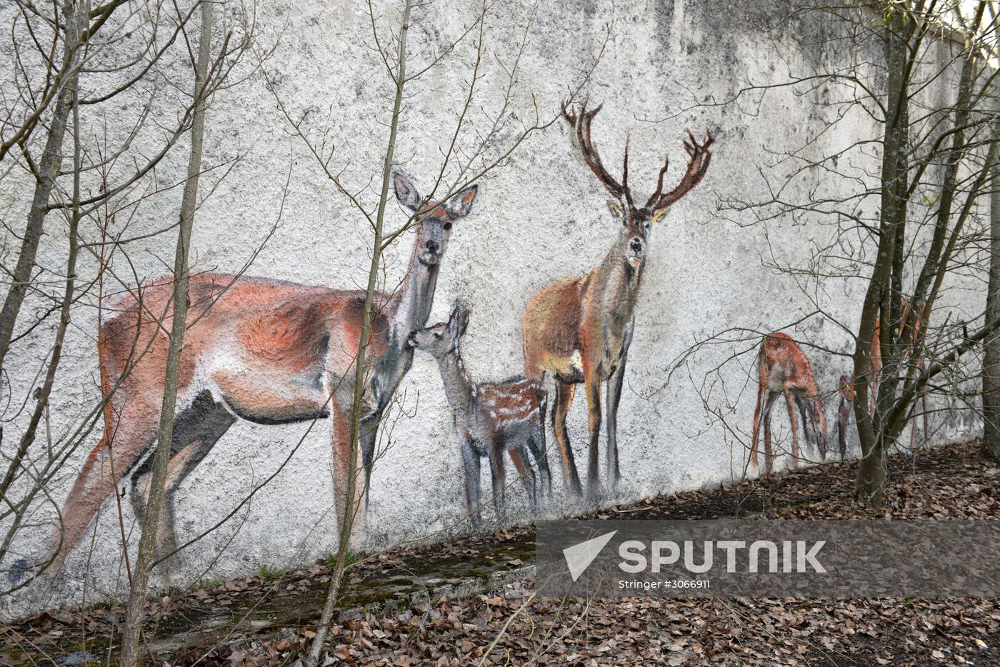 Chernobyl Exclusion Area