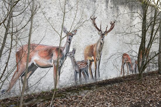 Chernobyl Exclusion Area