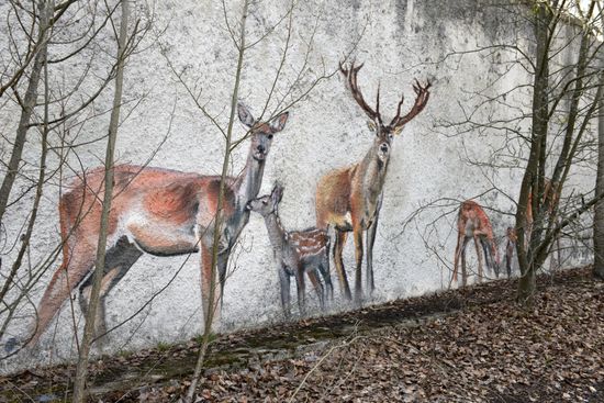 Chernobyl Exclusion Area