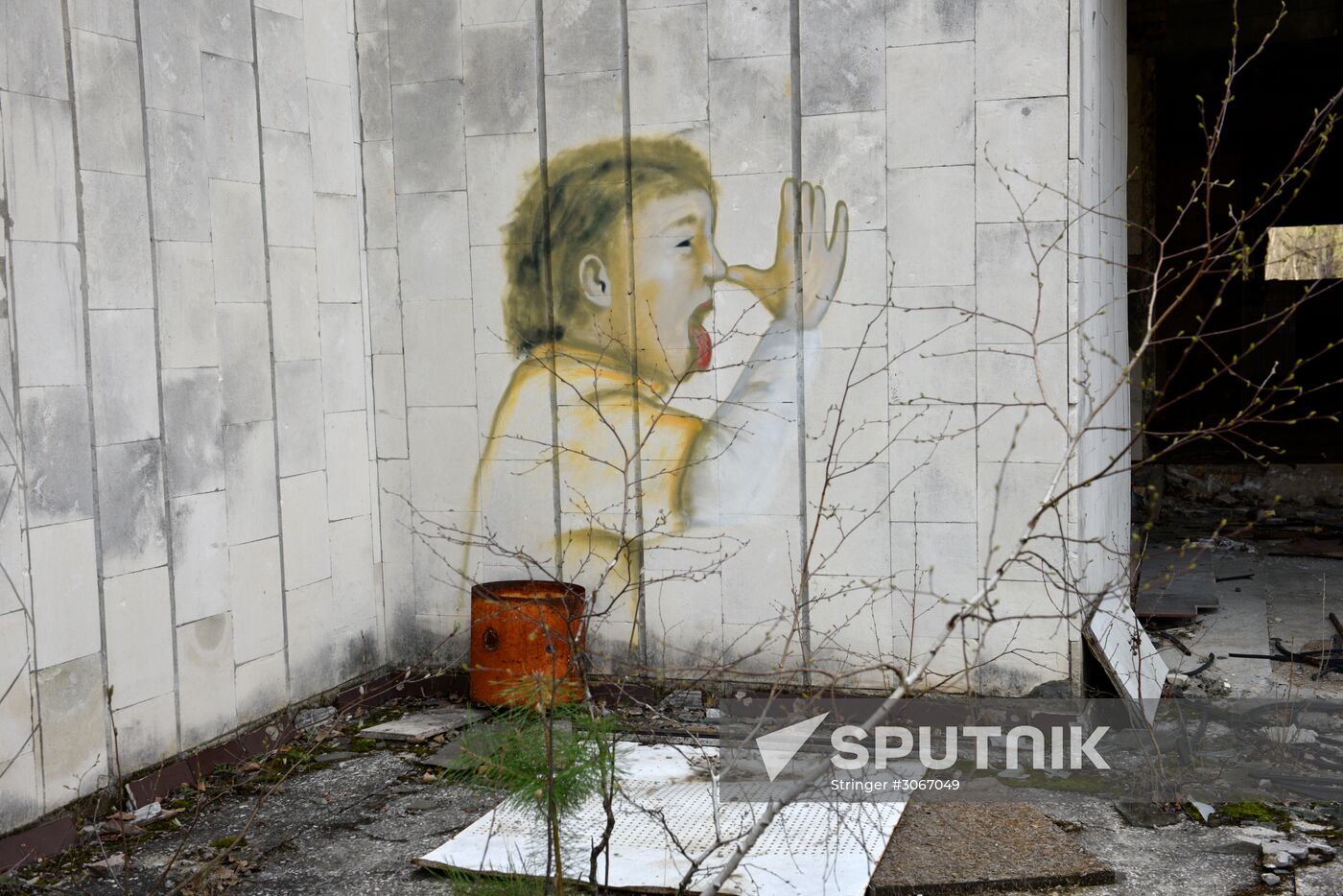 Chernobyl Exclusion Area
