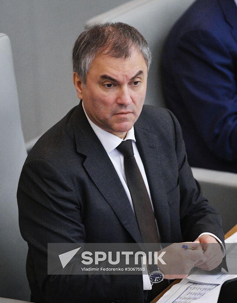 State Duma plenary meeting