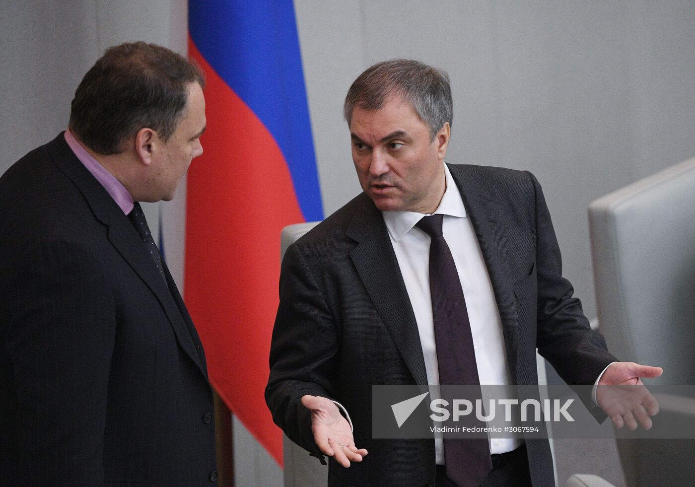 State Duma plenary meeting