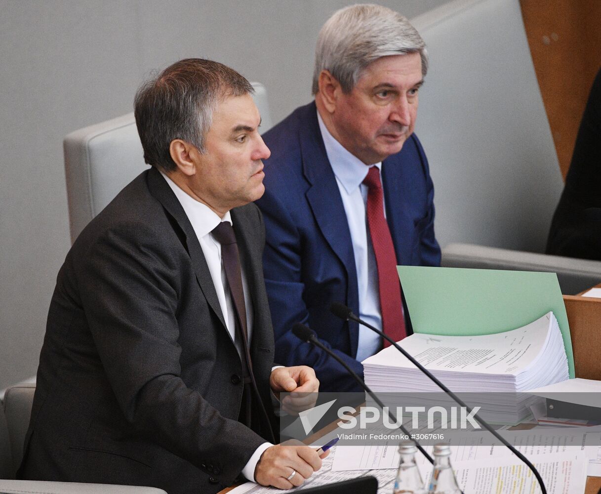 State Duma plenary meeting