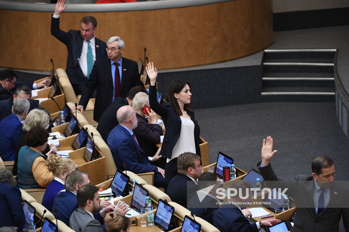 State Duma plenary meeting