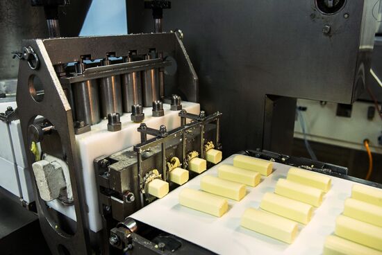 Production of B.Yu. Aleksandrov chocolate covered curd cheese bars