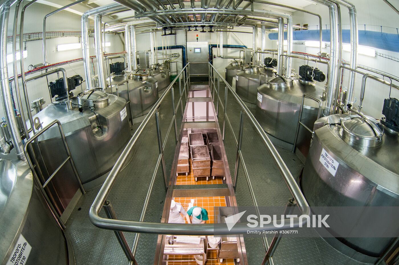 Production of B.Yu. Aleksandrov chocolate covered curd cheese bars