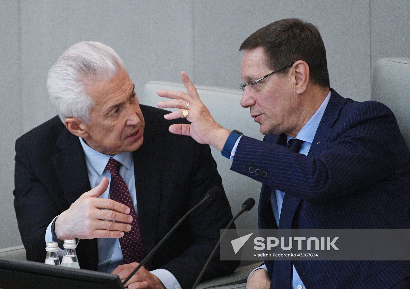 State Duma plenary meeting