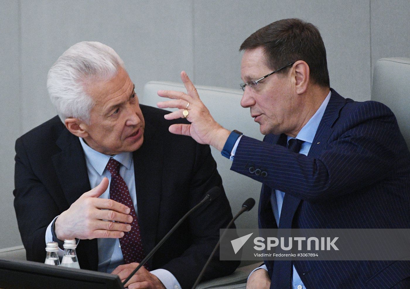 State Duma plenary meeting