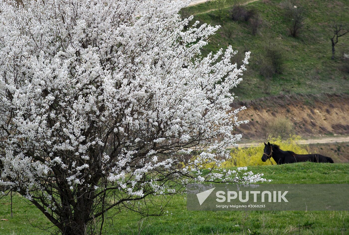 Klinovka village in Crimea