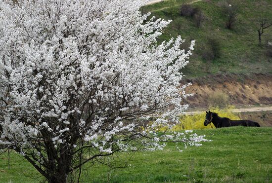 Klinovka village in Crimea