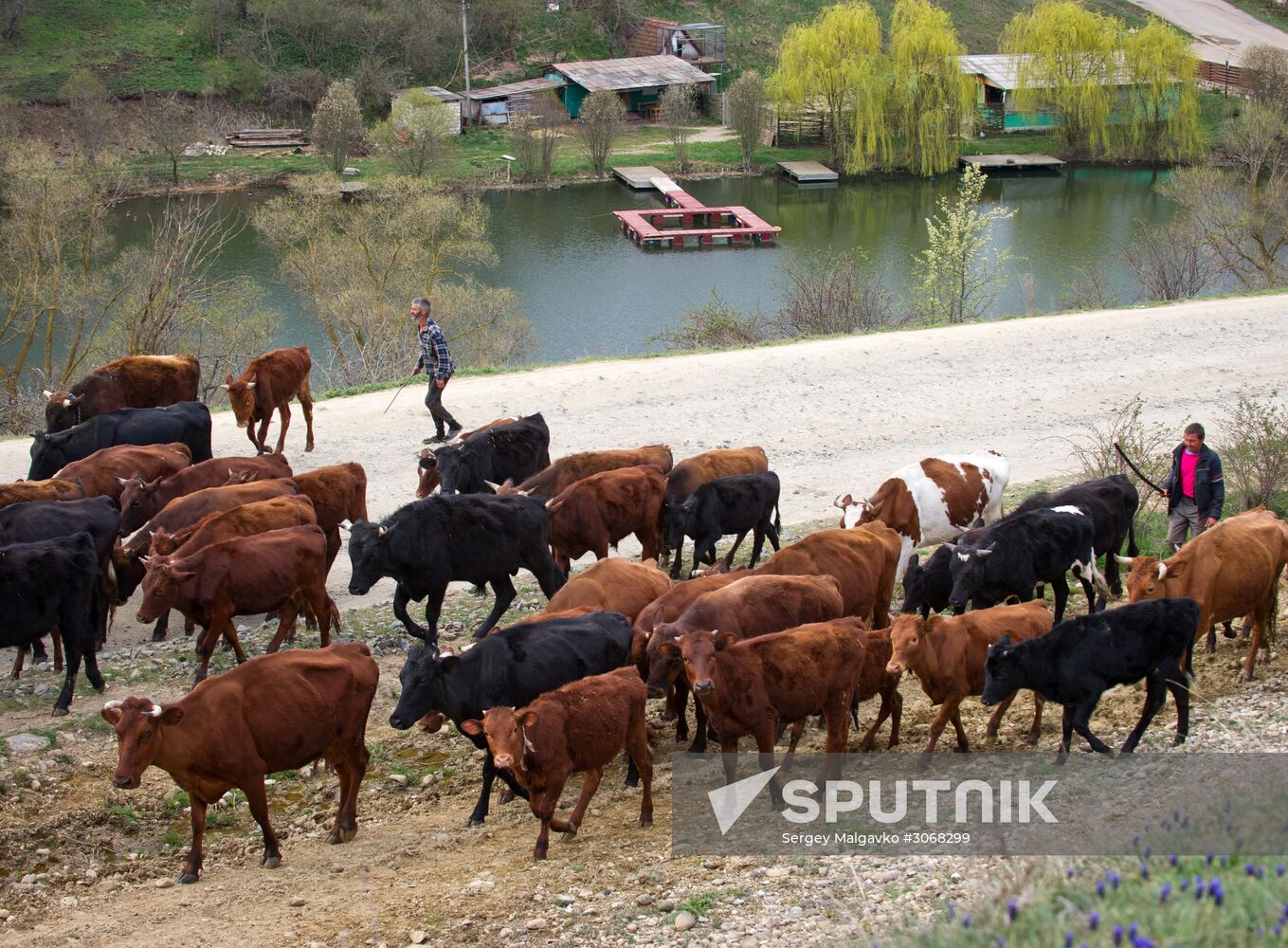 Klinovka village in Crimea