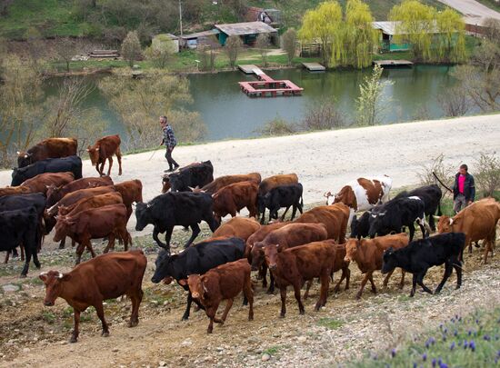 Klinovka village in Crimea