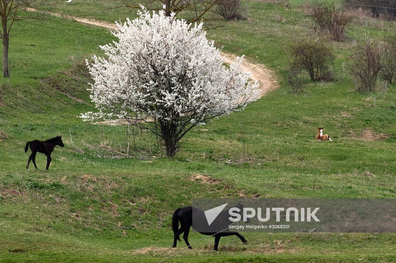 Klinovka village in Crimea