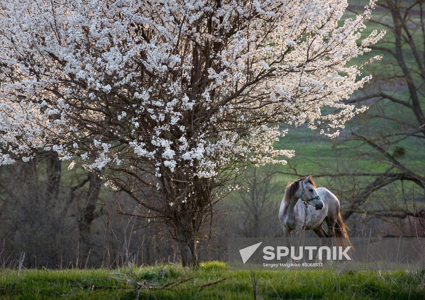Klinovka village in Crimea