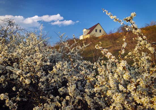 Klinovka village in Crimea