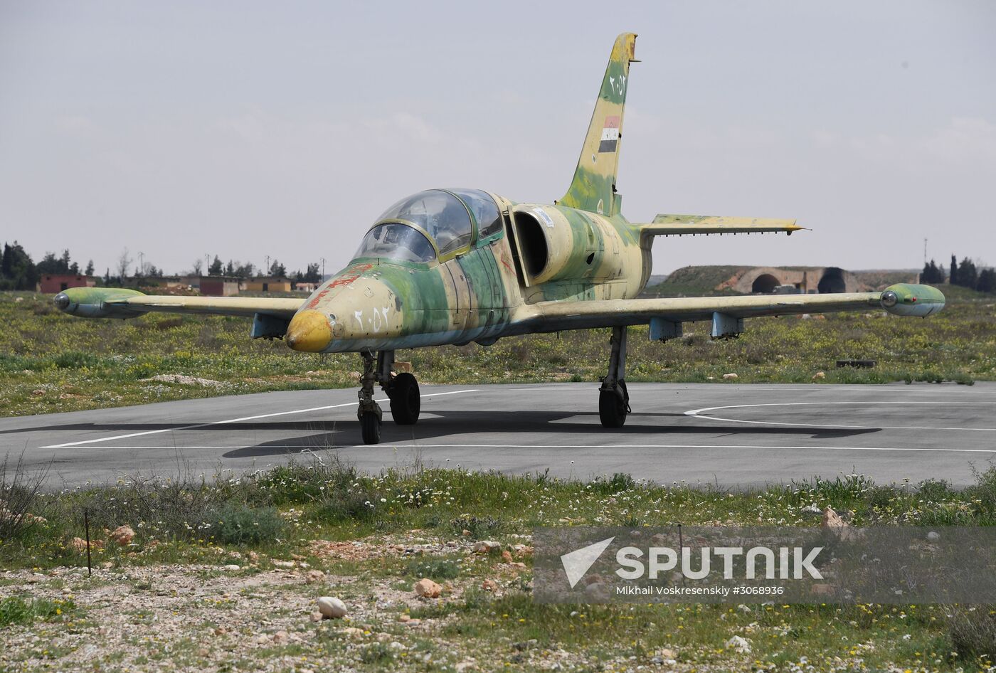 Syrian Air Forces resume flights from Ash Sha'irat air base